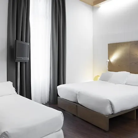 Petit Palace Plaza 4* Málaga