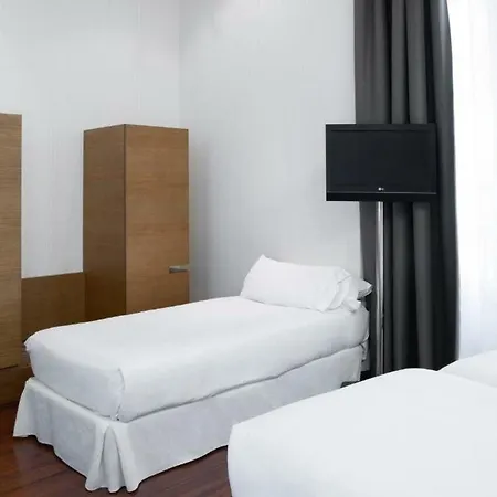 Hotel Petit Palace 4*